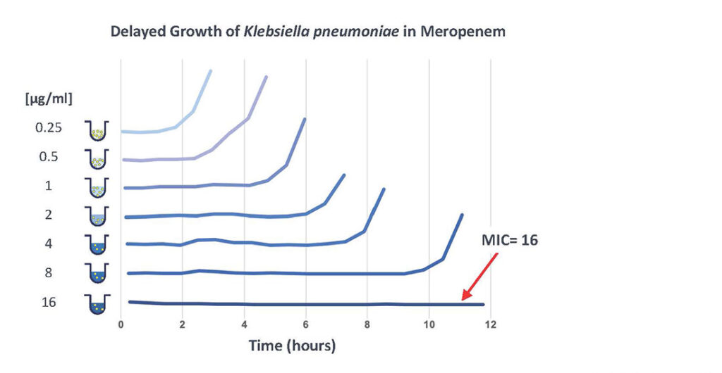 Delayed growth poses a stiff challenge to rapid ASTs that use short incubation times and rely on growth to determine susceptibility. If growth is assessed too soon, the MIC may be underestimated. This can result in a dangerous Very Major Error (VME), in which a resistant strain is incorrectly evaluated as susceptible to the antibiotic.