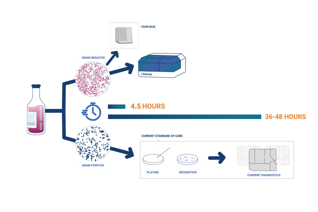 LifeScale won’t disrupt your lab’s optimized workflow: use it with your rapid blood culture identification system, and continue to run most ASTs on your trusted standard of care.