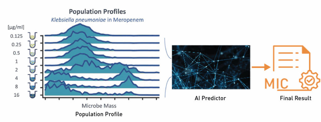 Population profiles are generated for all antibiotics and antibiotic concentrations. LifeScale’s powerful Artificial Intelligence Predictor™ (AI-Predictor) analyze this rich dataset to produce the correct MIC, even in cases where analyzing growth alone is insufficient.